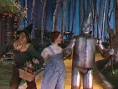 The Wonderful Wizard of Oz Website