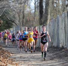 Image result for Abbey Runners