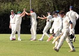 Image result for Lewdown Cricket Club