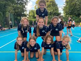 Image result for Beeches Netball Club