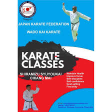 Image result for Reading Wado Kai Karate Club