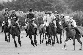 Image result for Taunton Vale Polo Club