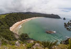 Image result for new chums beach