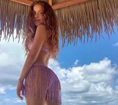 Resultado de imagem para "shakira" calcinha