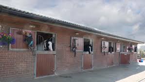 Image result for Shey Copse Riding Centre