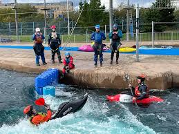 Image result for Seren Dwr