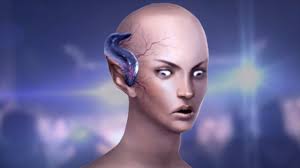 Image result for brain slug