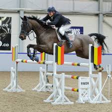 Image result for Scottish Equi Complex