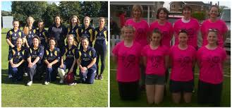 Image result for Corse & Staunton Cricket Club