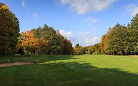 Image result for Chobham Golf Club