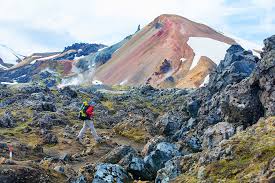 Image result for Ildblomkarse