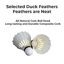 Image result for Flukey Feathers Badminton Club