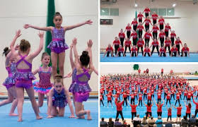 Image result for North Devon Display Gymnastics Club