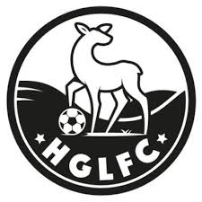 Image result for Haslingden Handball Club