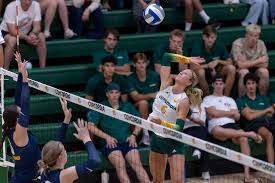 Image result for Concordia Netball Club