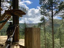 Image result for Go Ape! Whinlatter
