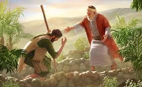 Image result for www.jw.org