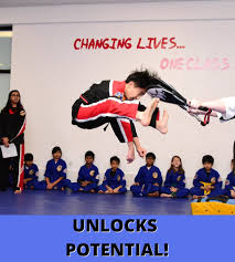 Image result for Highgate Martial Arts Academy