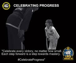 Image result for Hillcross, Raynes Park & Redhill Choi Kwang-Do