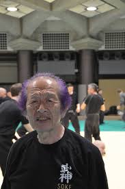 Image result for Bujinkan Lincon Dojo