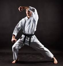 Image result for Haxby karate club