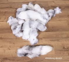 Image result for Fuchsschwanz