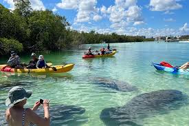 Image result for Heritage Coast Canoe Club