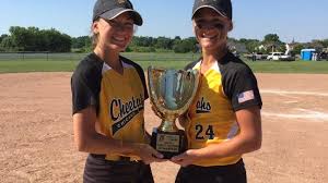 Image result for Cheetahs Softball Team