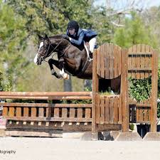 Image result for Oxford Riding Club