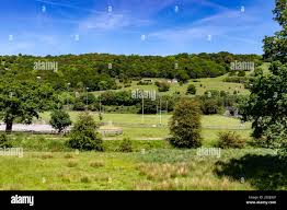 Image result for Matlock Rugby Club