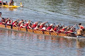 Image result for Thames Dragon Boat Club