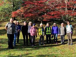 Image result for Runnymede Ramblers