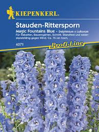 Image result for Rittersporn