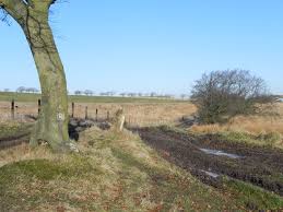 Image result for Airdrie & District Angling Club