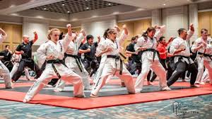 Image result for Thames Valley Karate