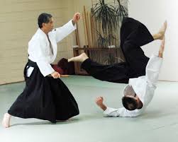 Image result for Aikido - Takama Hara Aikido Dojo