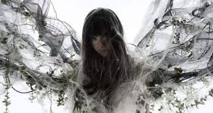 Image result for Aimer