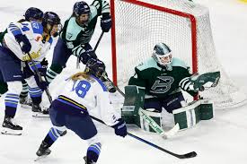 Image result for Fleet Hockey Club