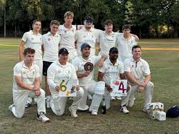 Image result for Luctonians Cricket Club