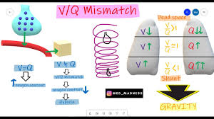 Image result for  v    q