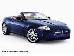 Image result for Indigo 2009 Jaguar