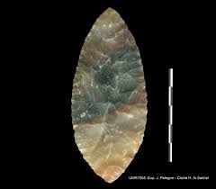 Image result for feuille-laurier-silex