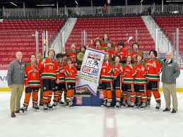 Image result for Northern Hockey Club