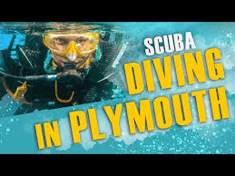 Image result for Plymouth Aquanauts