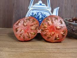 Afbeeldingsresultaat voor carbon tomato