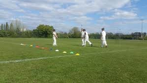Image result for Old Stacians Cricket Club