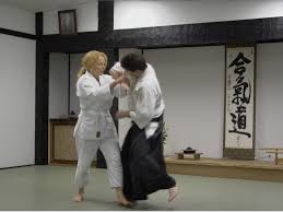 Image result for Aikido - Shobu UK