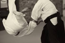 Image result for Sho Shin Kan Aikido Club