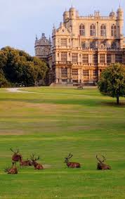 Image result for Wollaton Bc