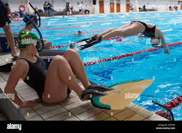 Image result for Swansea Finswimming Club